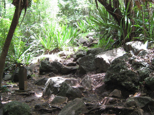 Quelques gros cailloux et hautes marches au départ