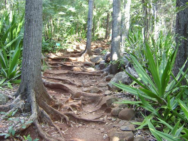 Le premier tiers du sentier, caillouteux