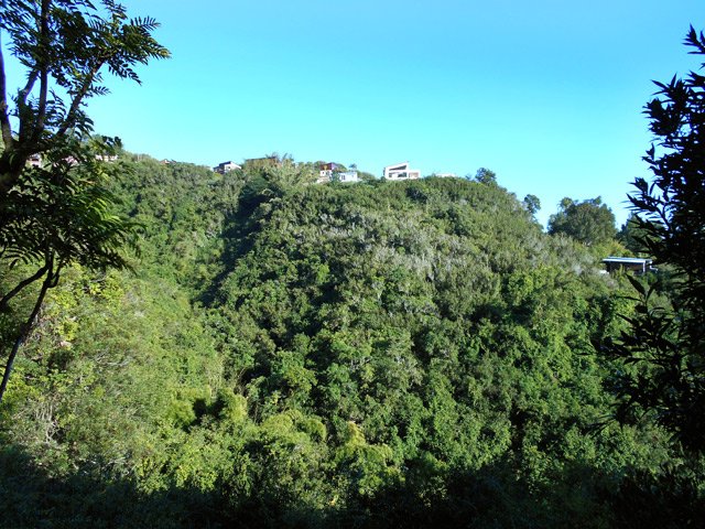 Vues sur les cases du Brûlé depuis des trouées dans la végétation