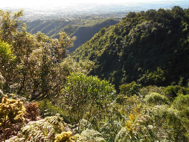 La vallée de la Ravine du Butor et Sainte-Marie