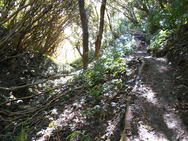Le sentier humide et boueux au passage des ravines