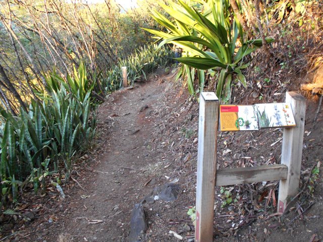 Des panneaux pédagogiques bordent le sentier