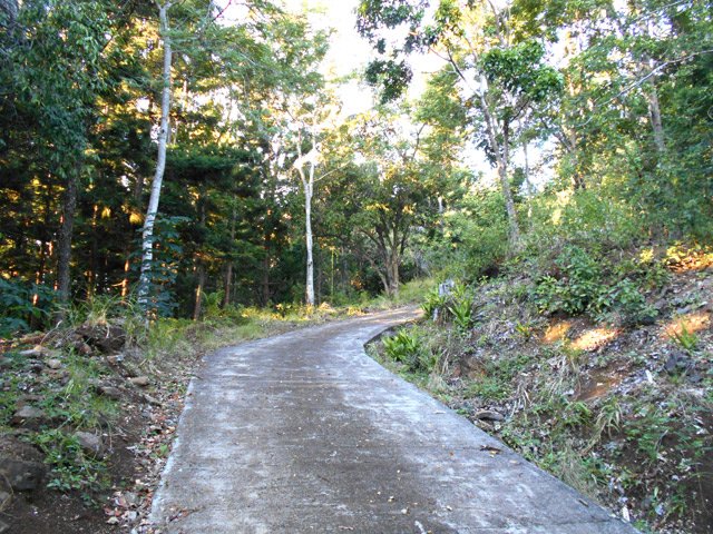 On traverse ou on longe la piste bétonnée DSCI