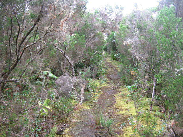 Le sentier plat à l'approche de la Ferme Deveaux