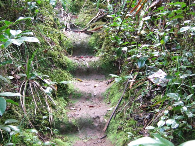 Les marches creusées dans la terre sont très glissantes
