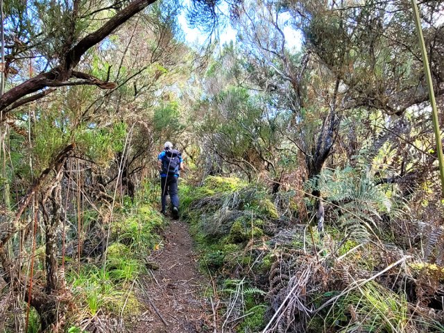 Une partie plate sans difficulté