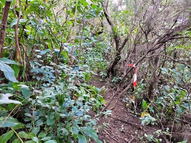 On est loin d'un vrai GRR mais les rubalises rassurent sur la direction à prendre