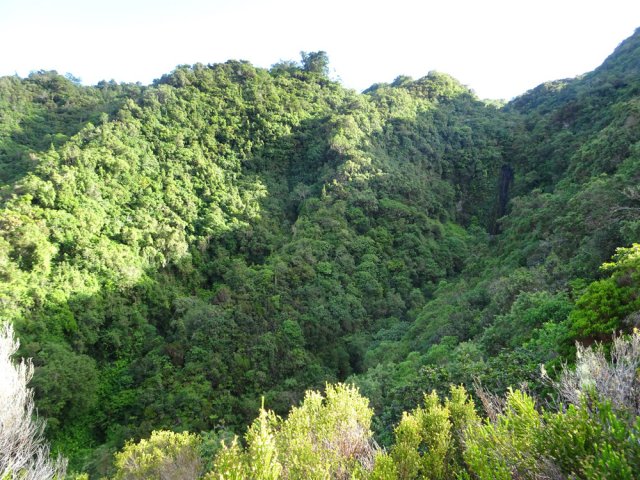 Quelques trouées dans la végétation permettent de voir la cascade Deveaux