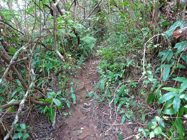 Pas de difficulté pour suivre la trace