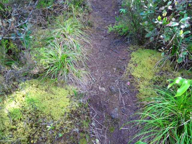 Le sentier est très bien marqué malgré le peu de passages