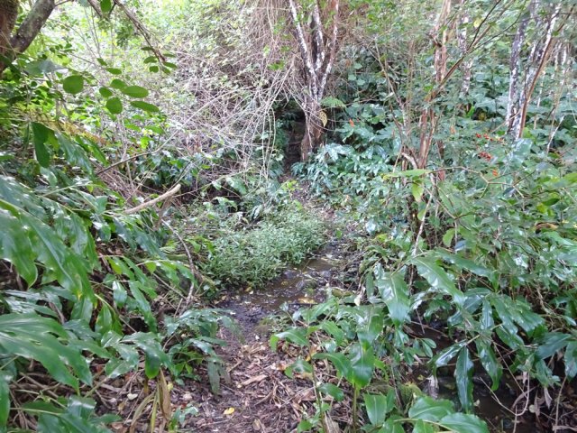 On traverse une petite ravine proche des passerelles sur la gauche