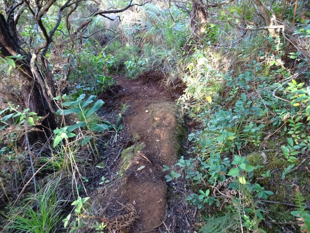 Des travaux sommaires ont élargi le sentier