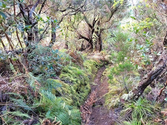 Sentier toujours en bon état avec points de vue sur la vallée