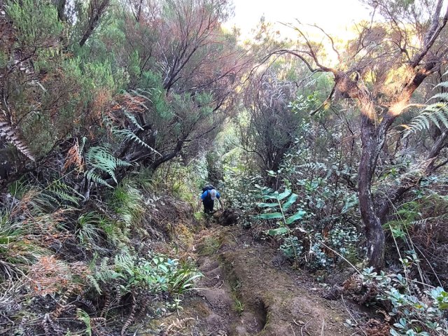 Fortes montées par moments sur de nouvelles marches glissantes