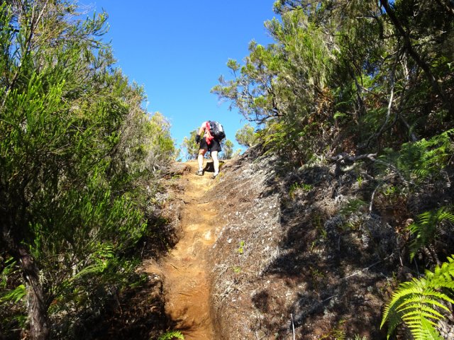 Court raidillon pour atteindre une plateforme offrant de beaux panoramas