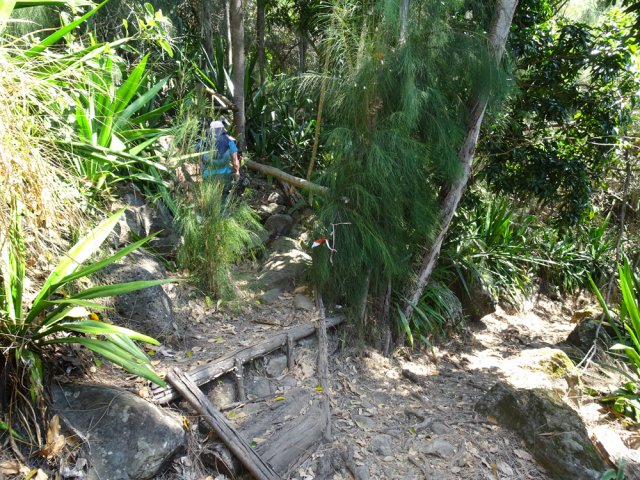 Ne pas manquer le nouveau départ du sentier Bayonne sous les filaos