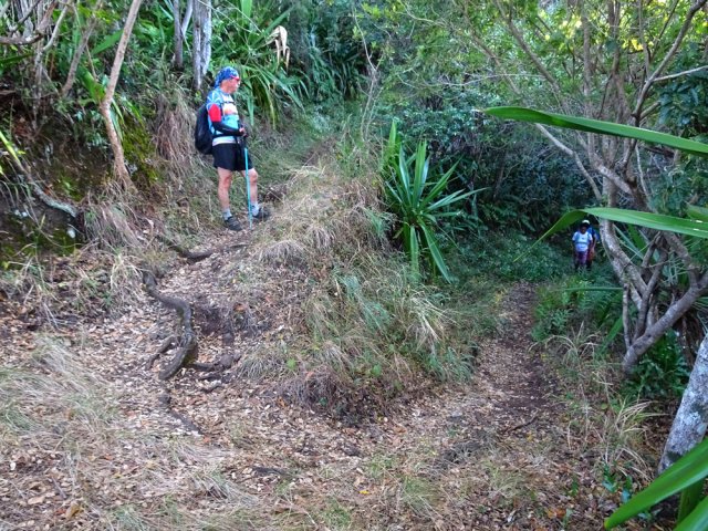 Les lacets au début de la montée du sentier Bayonne
