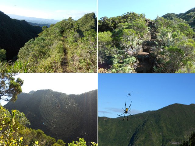 Quelques portions du sentier bordé parfois de belles toiles de bibes