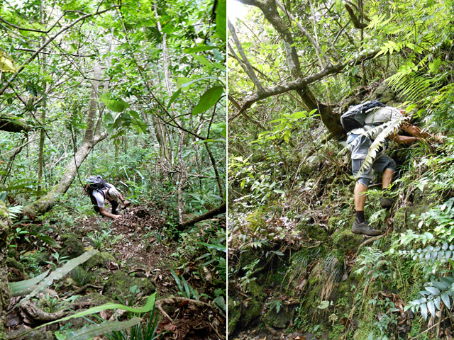 Aucun trucage ; toute la descente est comme ça