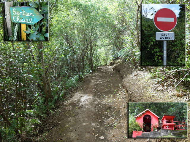 La fin du Sentier Cheval. Bientôt l'Impasse des Ananas