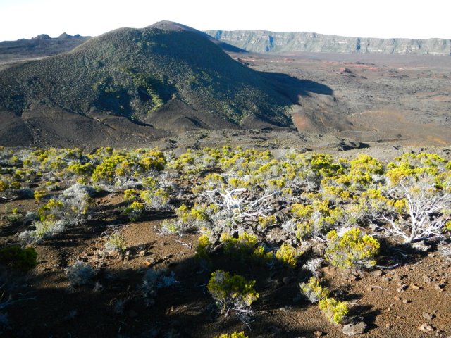 Le Demi-Piton lors de la montée du Piton Haüy