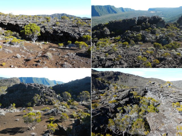 Le sol est beaucoup plus bouleversé que les deux autres pitons de la journée