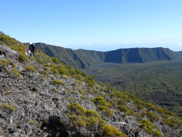 Le retour, par la face est, demande un peu d'attention pour éviter la végétation