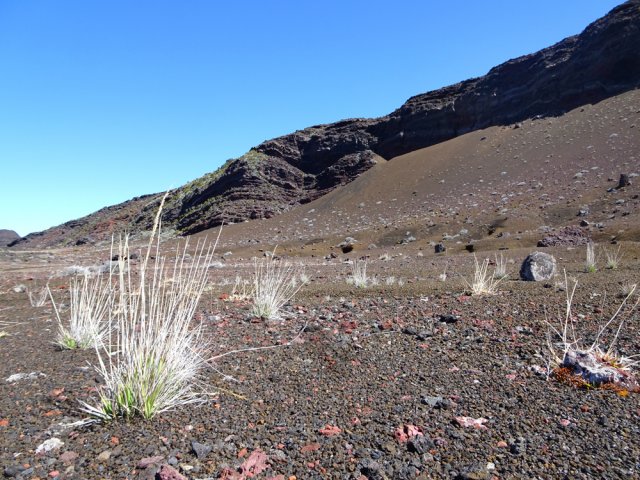 Beaucoup de sables volcaniques au pied du Demi-Piton