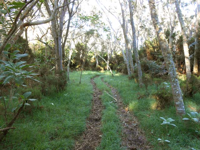 La piste glissante qui descend à partir de l'aire de pique-nique