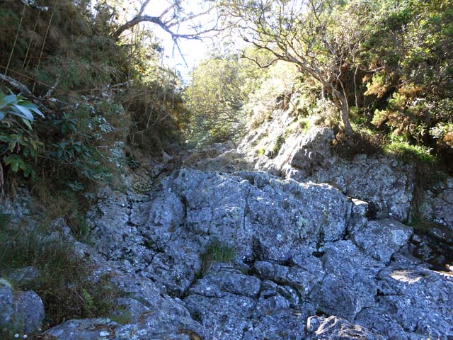 Début du cheminement vers l'amont, à même le fond de la ravine glissante