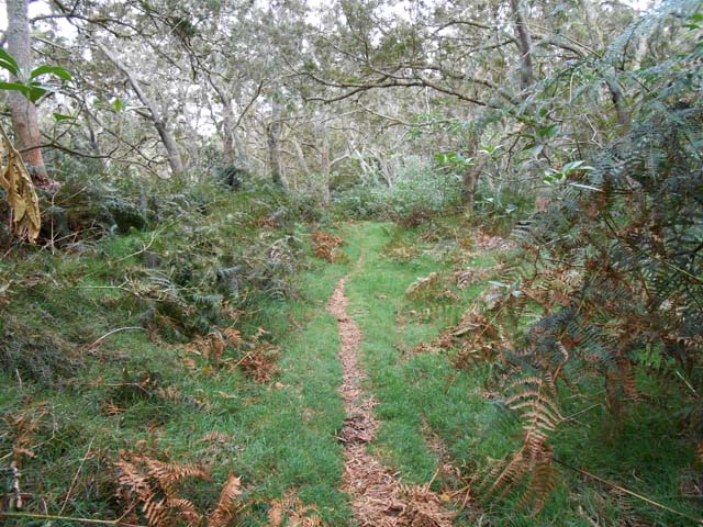 20 mètres au-dessus du 3ème bassin, la piste est devenue un sentier agréable