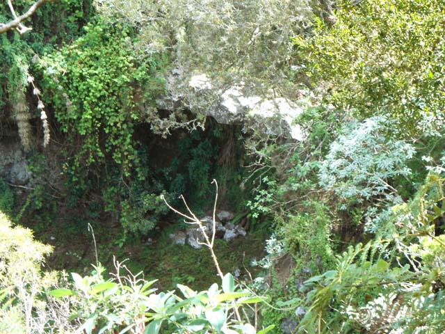 Une trouée dans la végétation permet d'apercevoir l'arche naturelle, vue du dessus