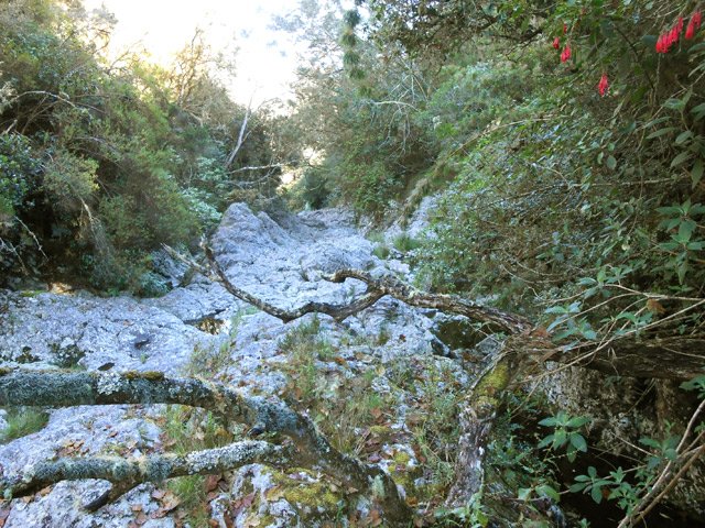 Le sol basaltique de la ravine comporte quelques fissures