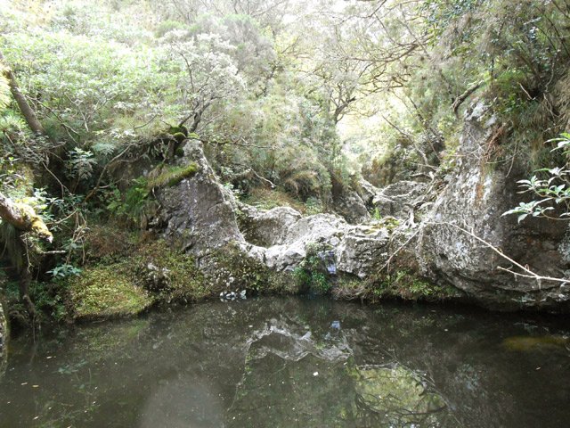 Bien malin qui voudra s'y baigner !