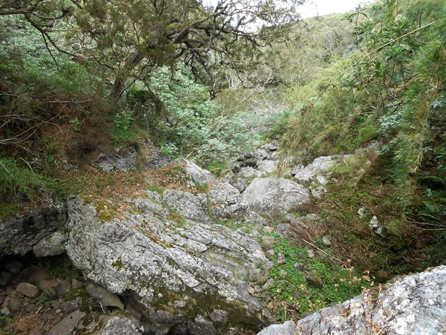 Une idée du fond de la ravine