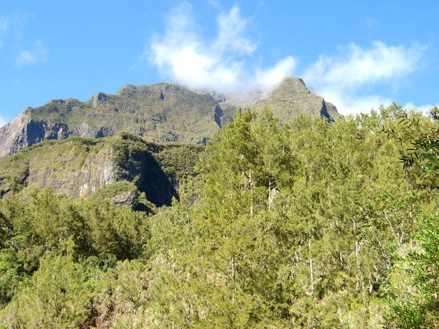 Le région est souvent recouverte de filaos