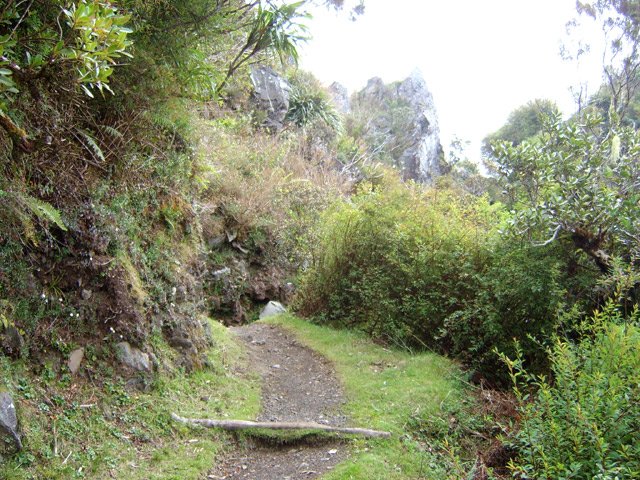 D'autres plus plates