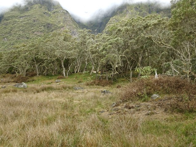 Les roches dépassent des prairies entourées de tamarins
