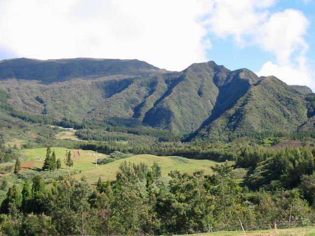 Les prairies et la Forêt domaniale des Makes vues de la route de la Fenêtre.