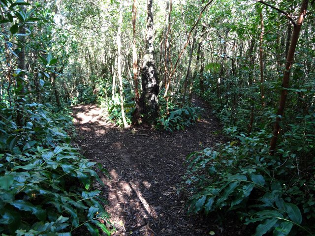 L'embranchement de la boucle des Canaux. Prendre à gauche pour la descente