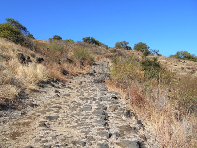 La montée, assez raide, au départ de la D5