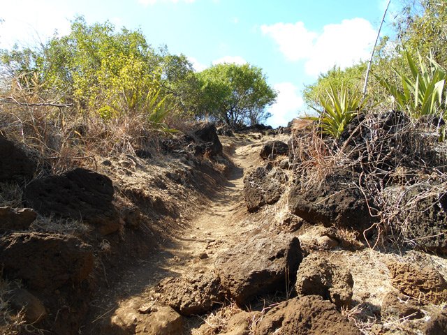 Le sentier qui longe la propriété privée où l'on trouve encore une section pavée