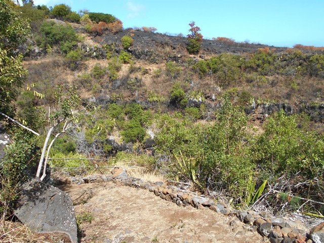 La vallée de la Ravine Bernica depuis la descente au bassin