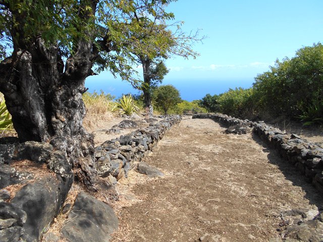 Piste identique à la montée
