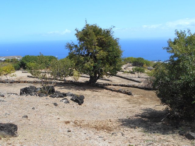 Les lacets occupent tout l'espace