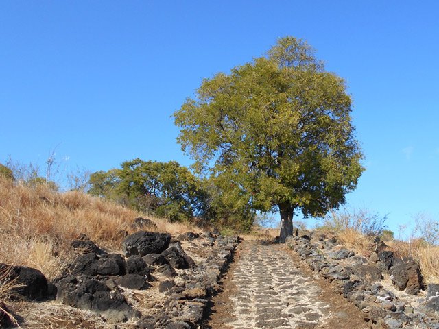 Superbe réhabilitation de cette piste oubliée