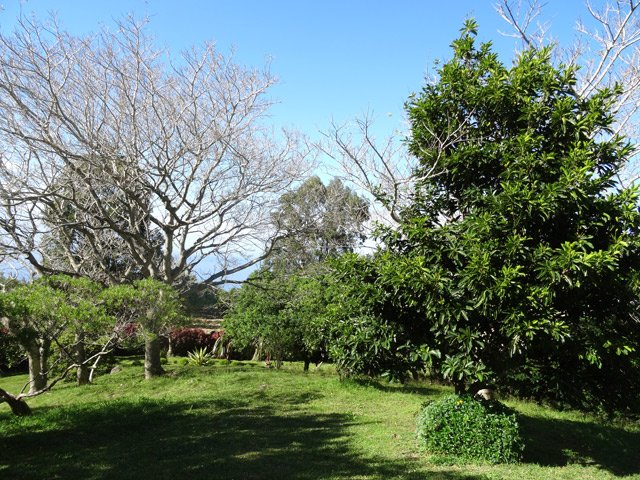Arrivée par le haut à l'aire proche du parking