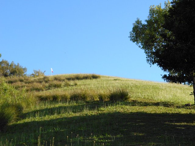 Les lacets bordés de pieds de vétiver pour atteindre le sommet