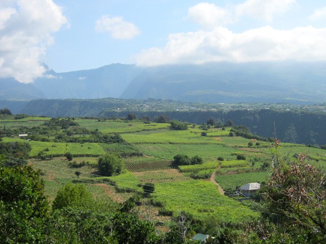 Vastes étendues de cultures au pied du piton avec vues sur Jean Petit