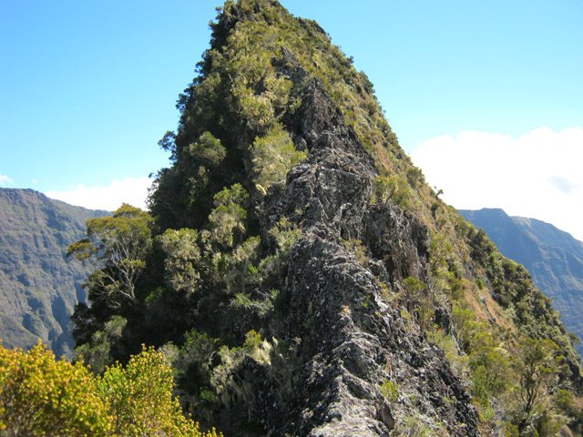 Certaines portions font moins de 10 cm de large